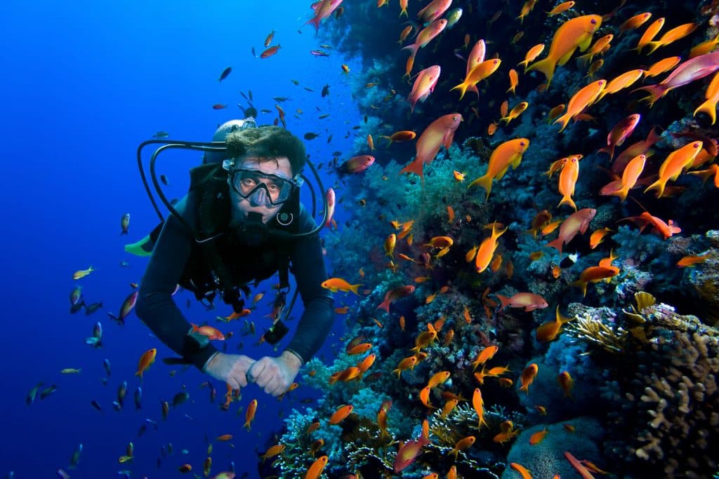 Best Dive Sites in Bali: 3 That Matter for a 7-Day Trip