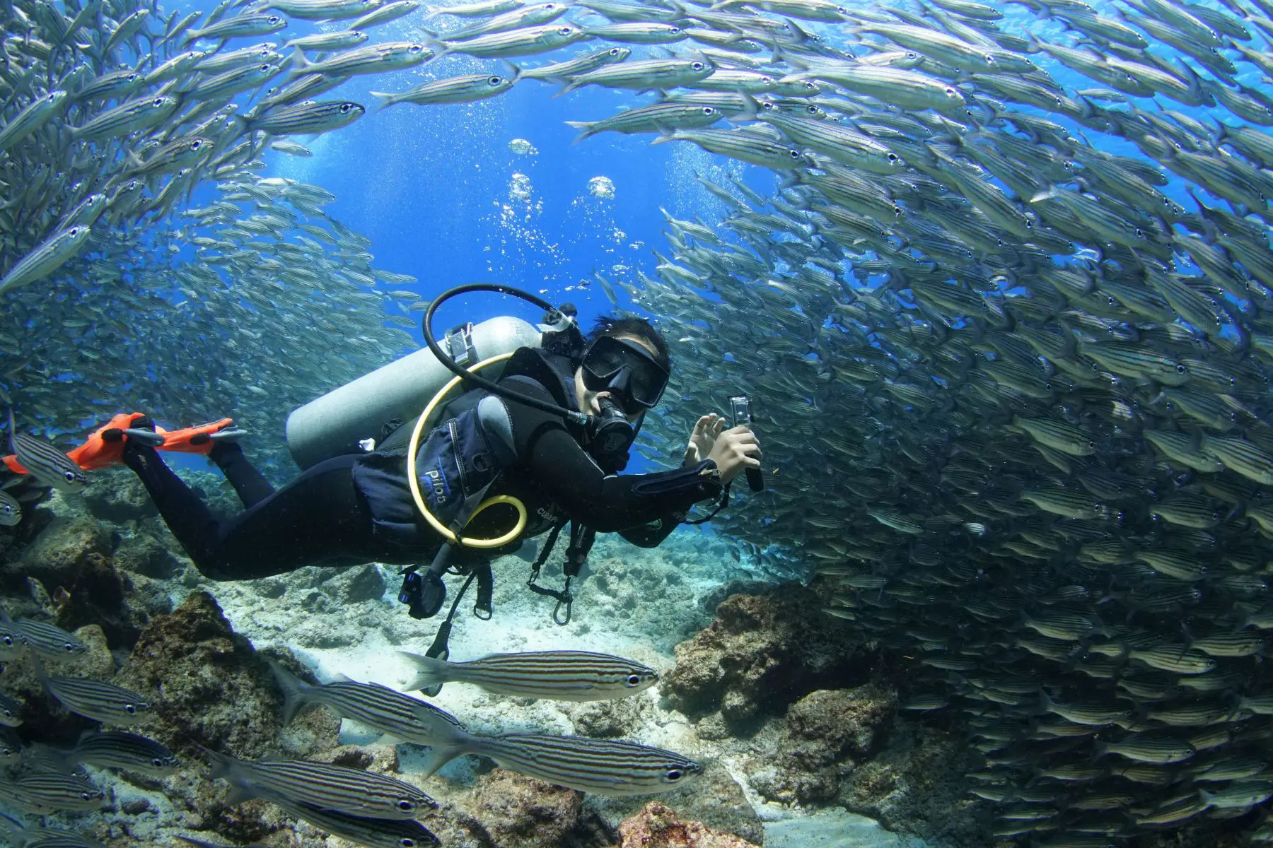 Gordon Rocks dive site image