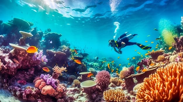Hanifaru Bay vs Fuvahmulah: Which Maldives Atoll Should You Pick?