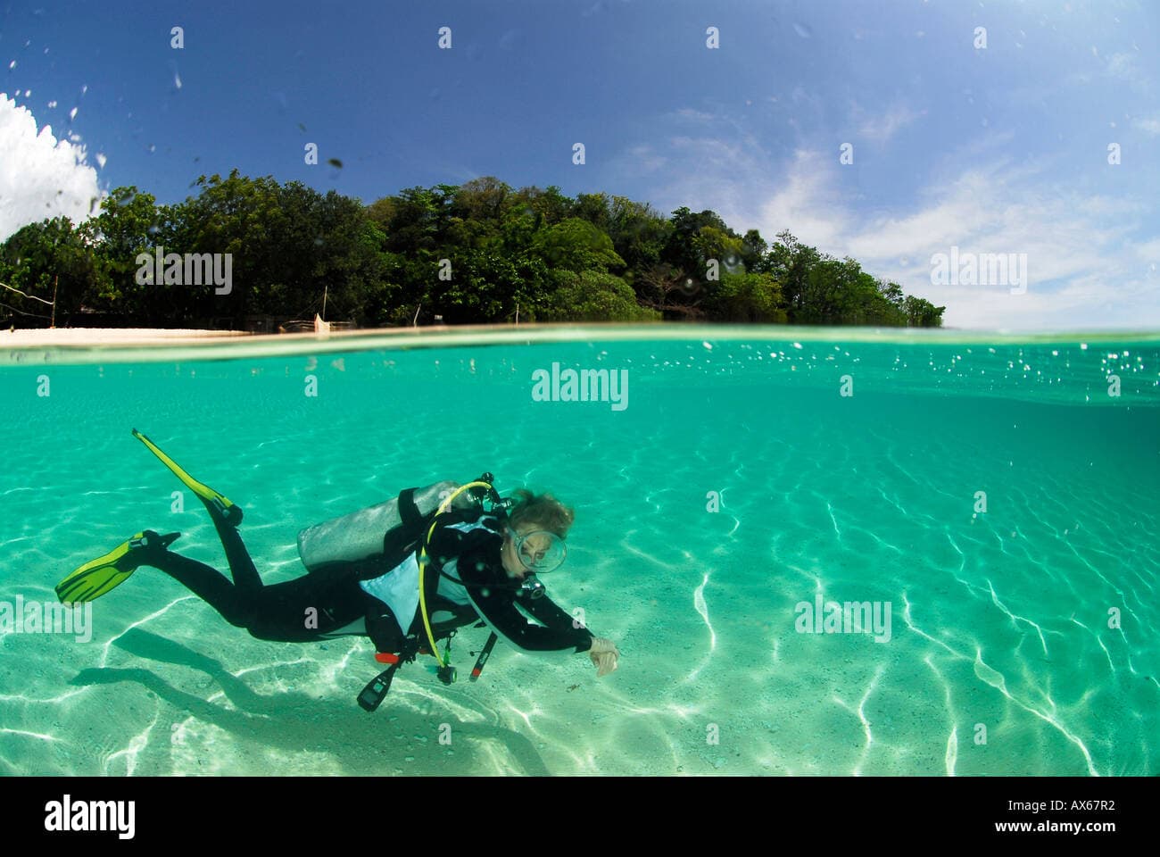 Cebu vs Bohol Diving vs Palawan: Which Philippine Island for Your First Dive Trip?