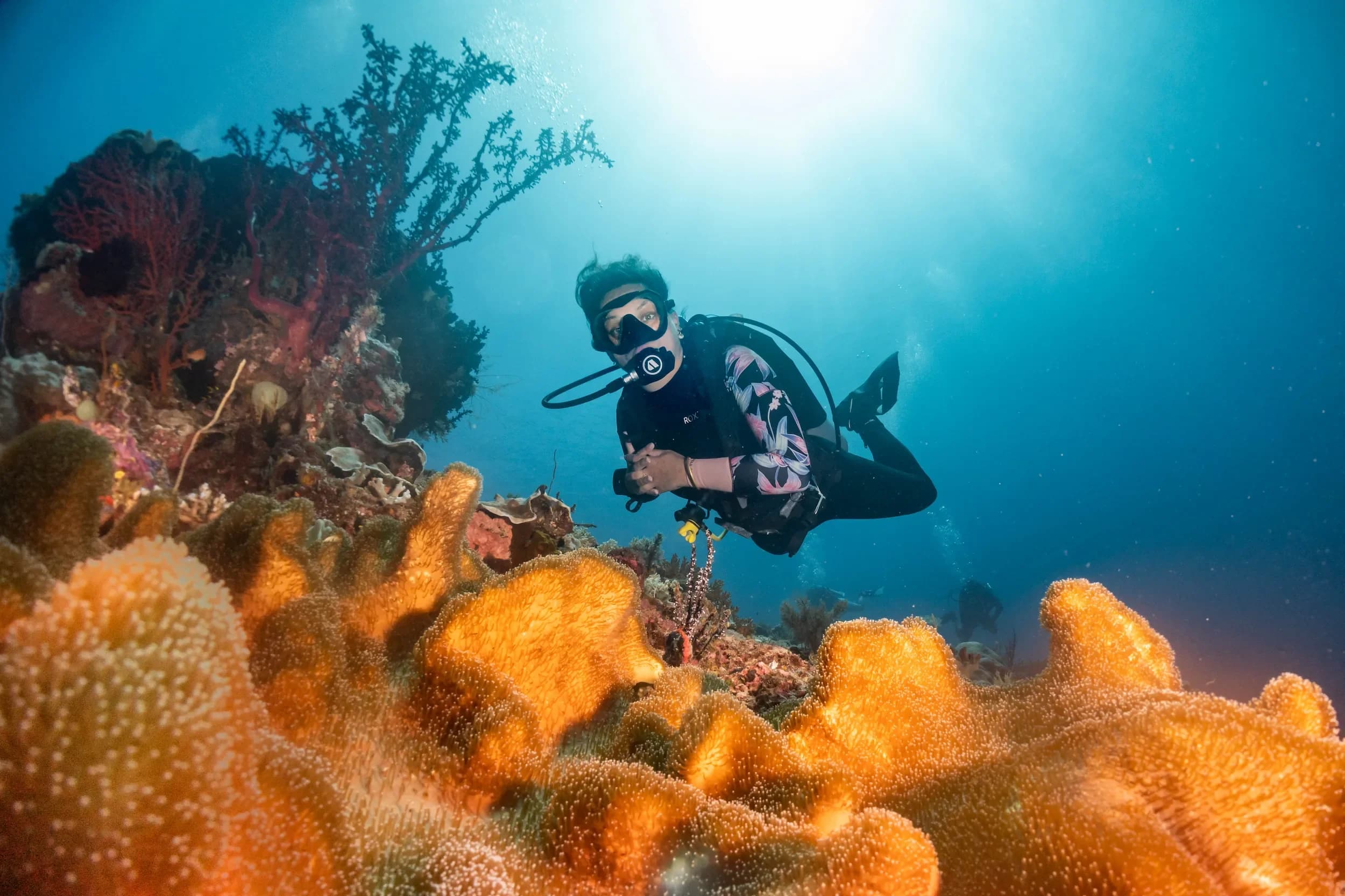 Magic Mountain dive site image