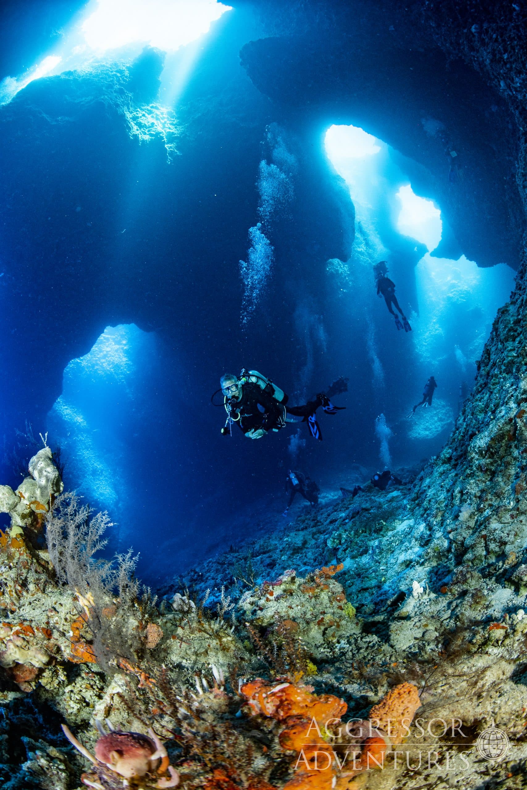 Blue Corner Wall diving route