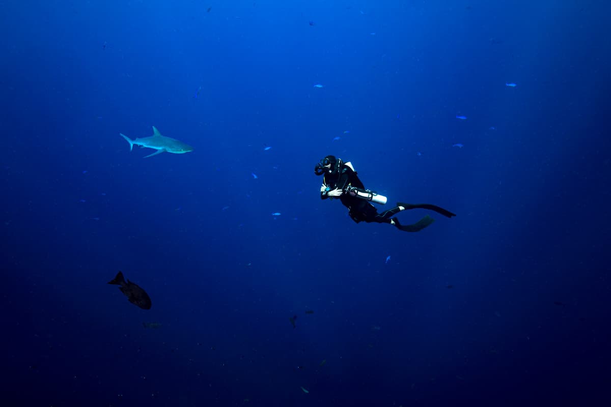 Blue Corner dive site