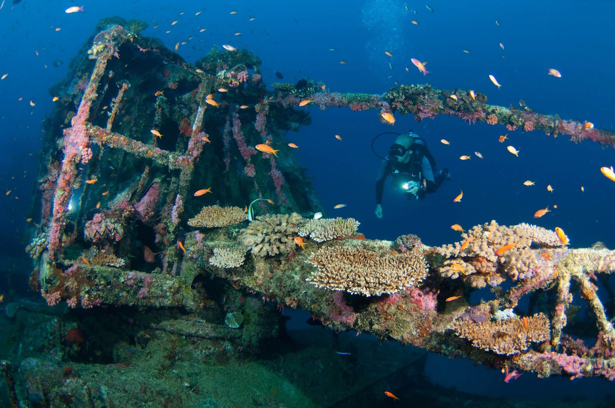 Maaya Thila dive site image