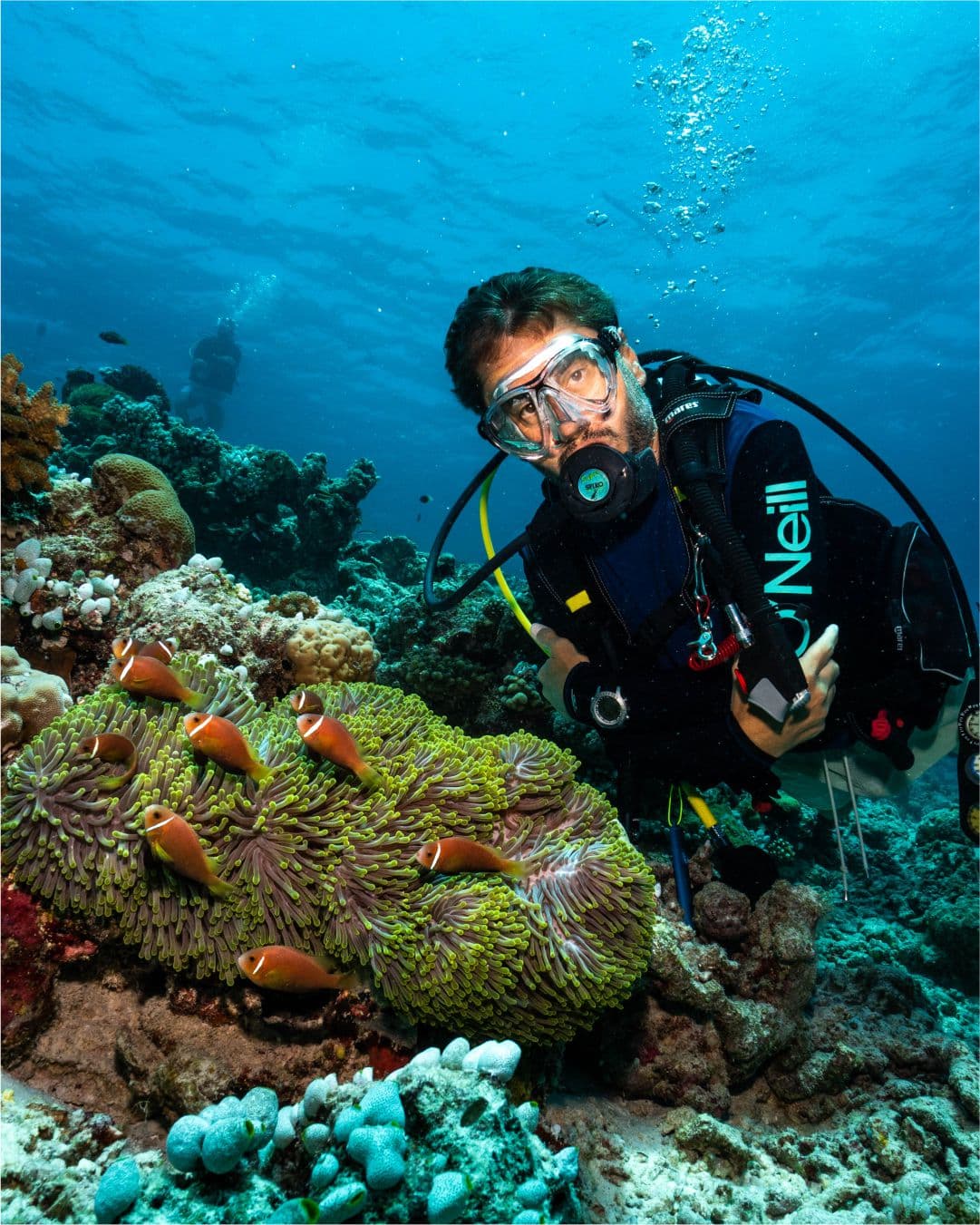 Maaya Thila dive site image