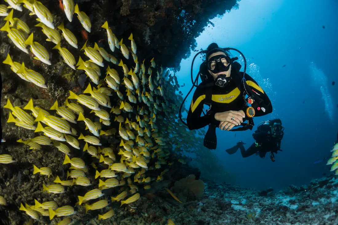 Diver beside a dense school of reef fish