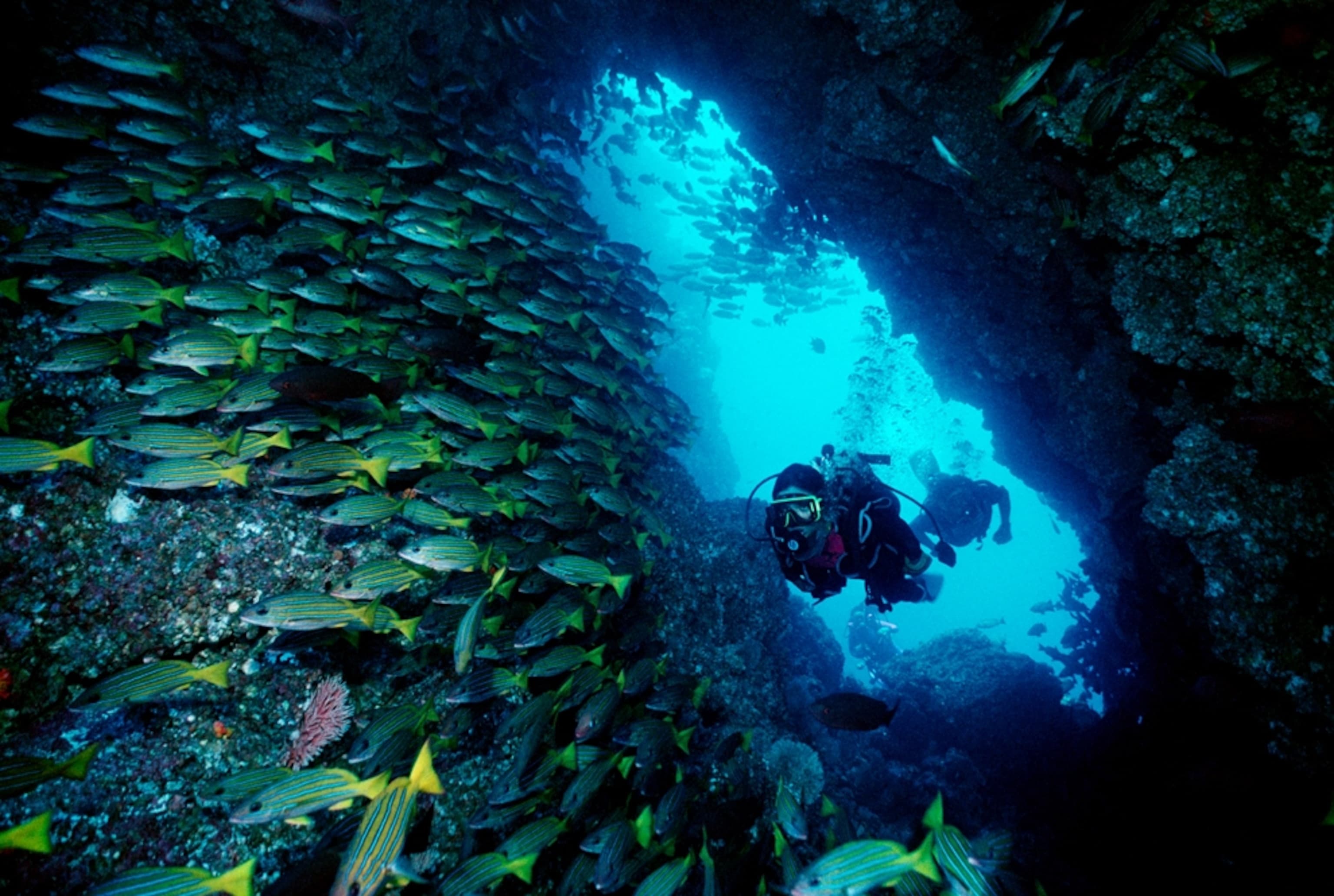 Cocos Island