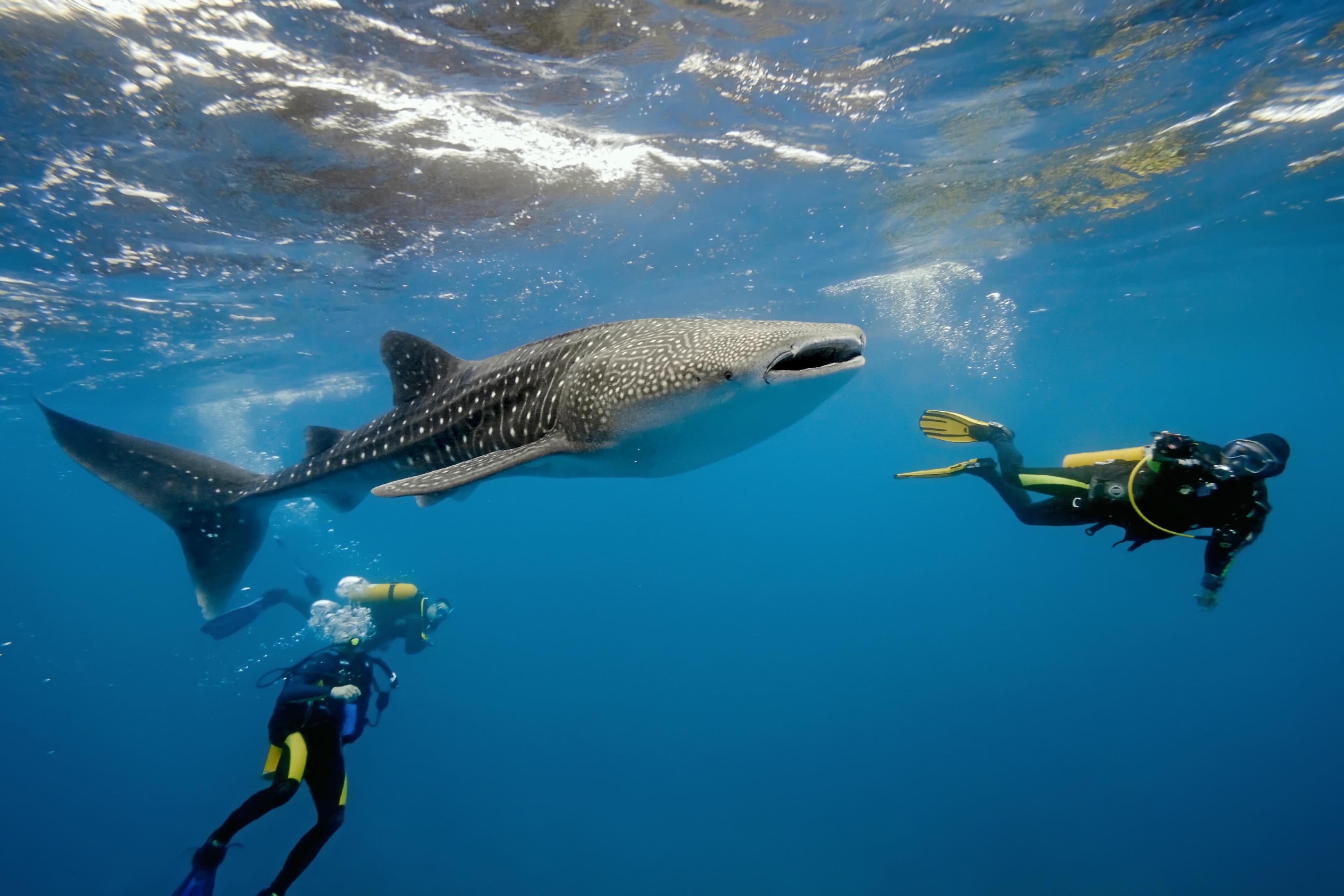 Maldives
