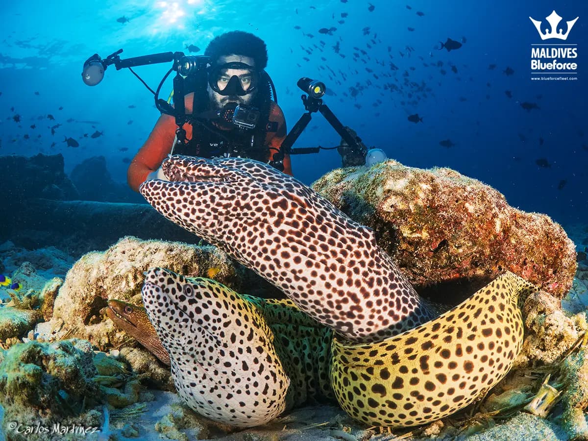 Dubai Stopover for Maldives Divers: A 2026 Routing Guide
