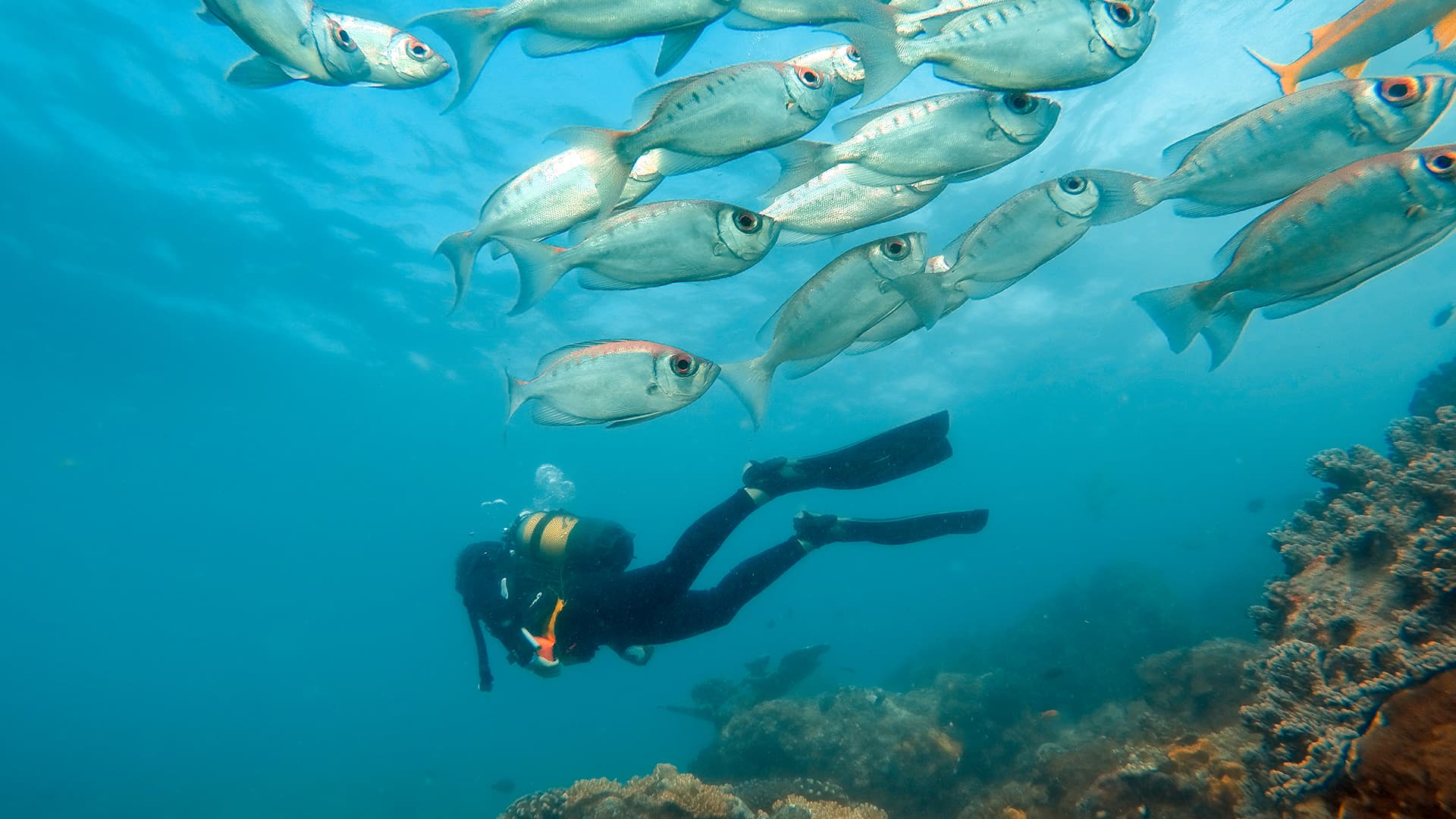 Mozambique