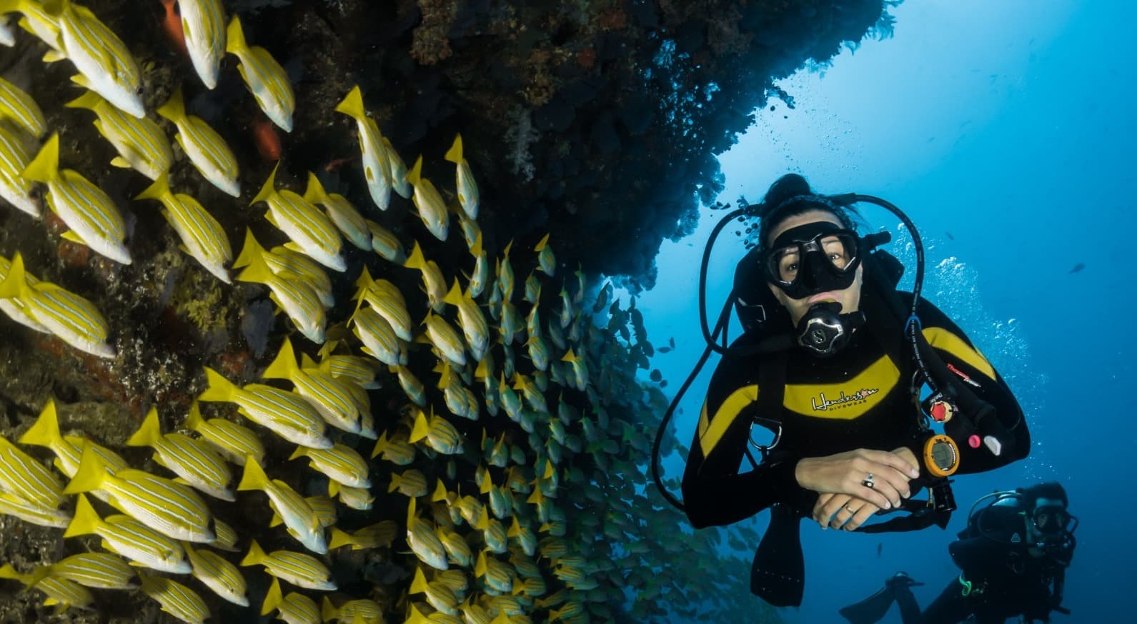 Ponta do Ouro dive site image