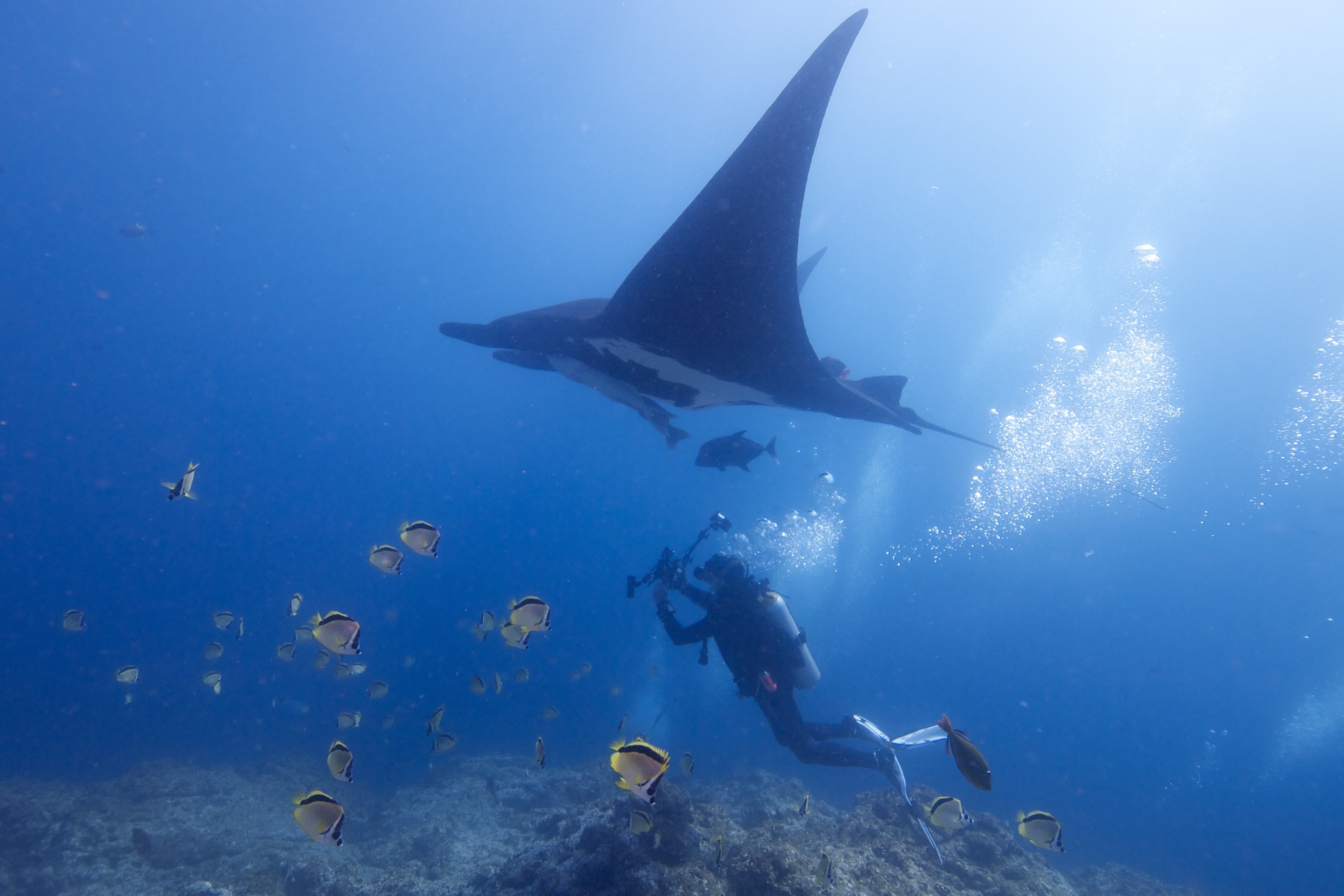 Socorro Islands
