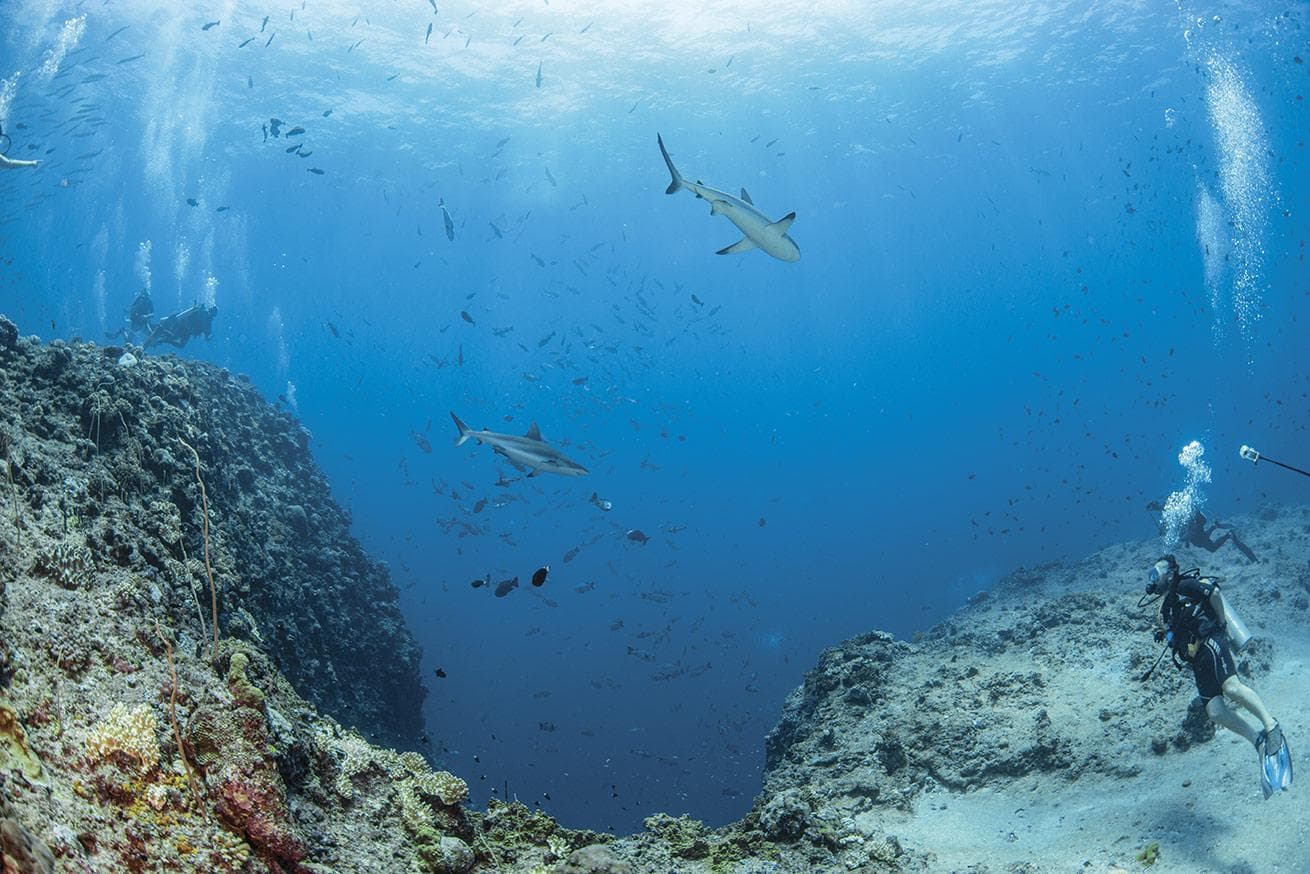 Blue Corner Wall route image