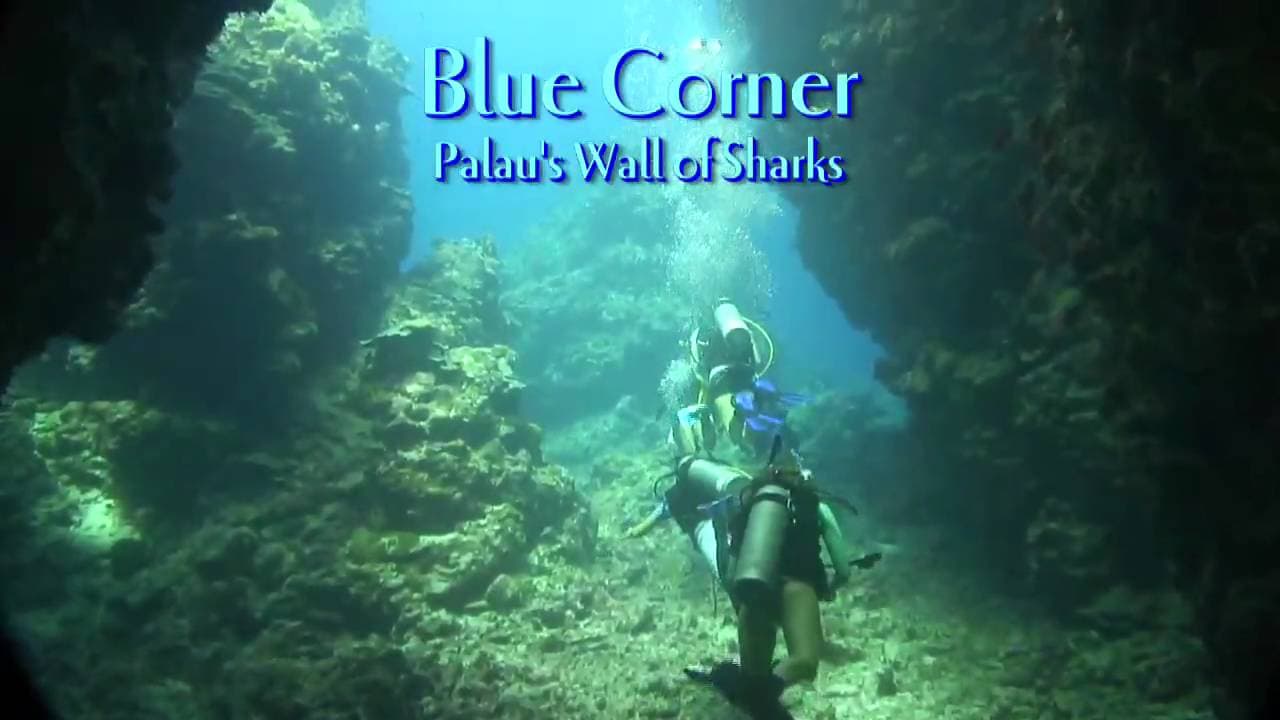 Blue Corner dive site image