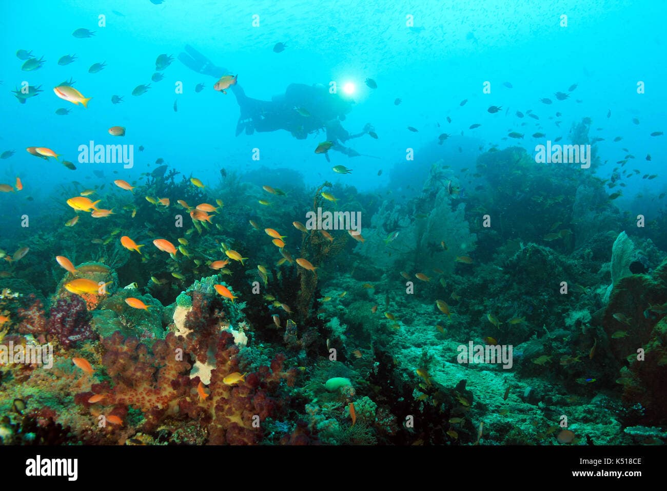 Cape Kri dive site