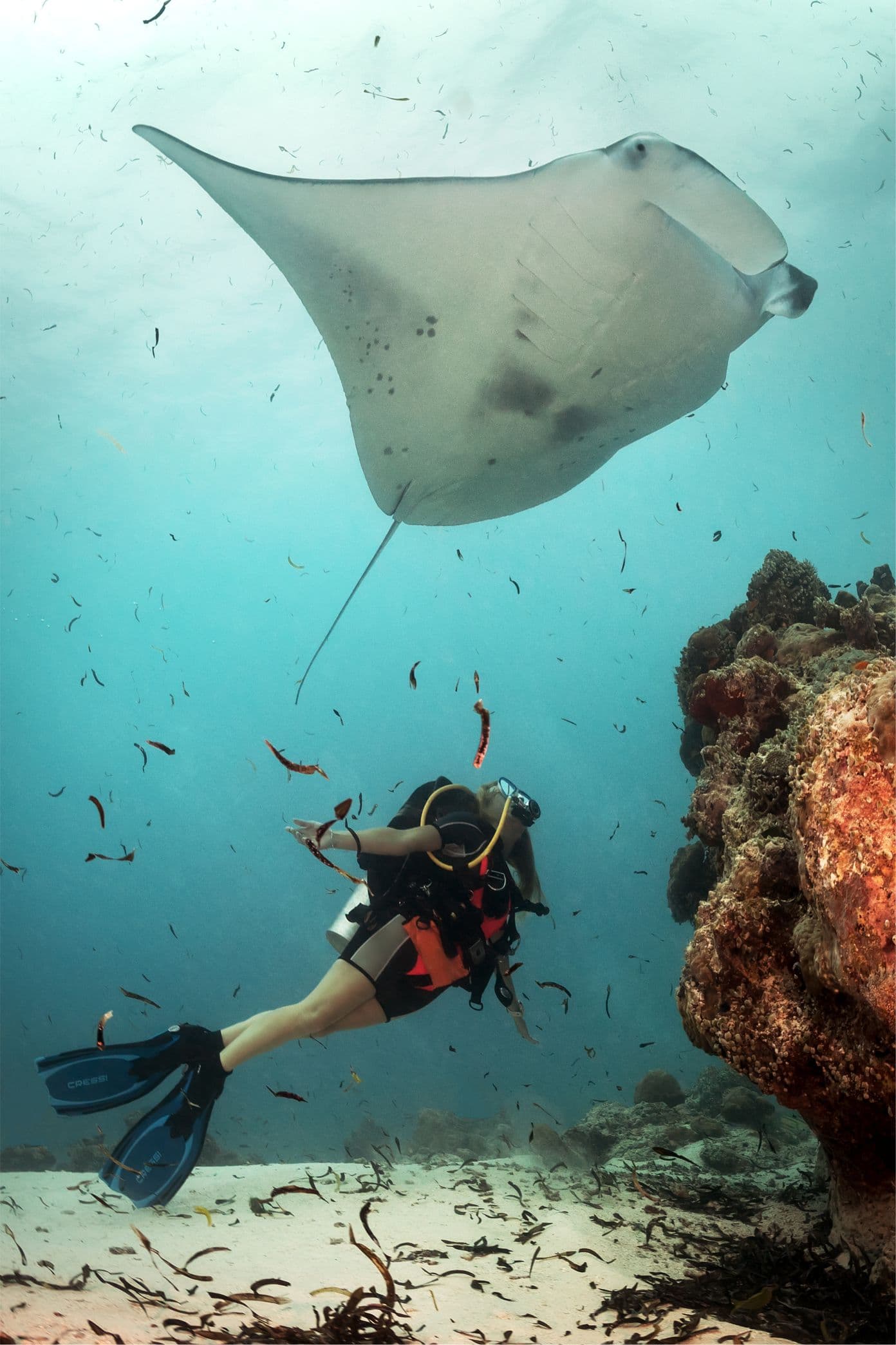 South Ari Atoll diving route