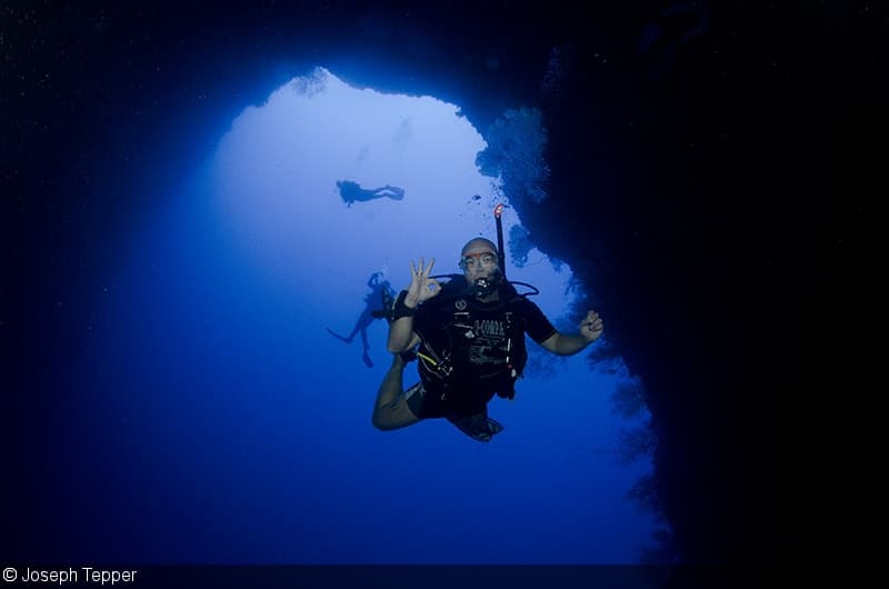 Vibrant coral wall at Blue Corner, Palau