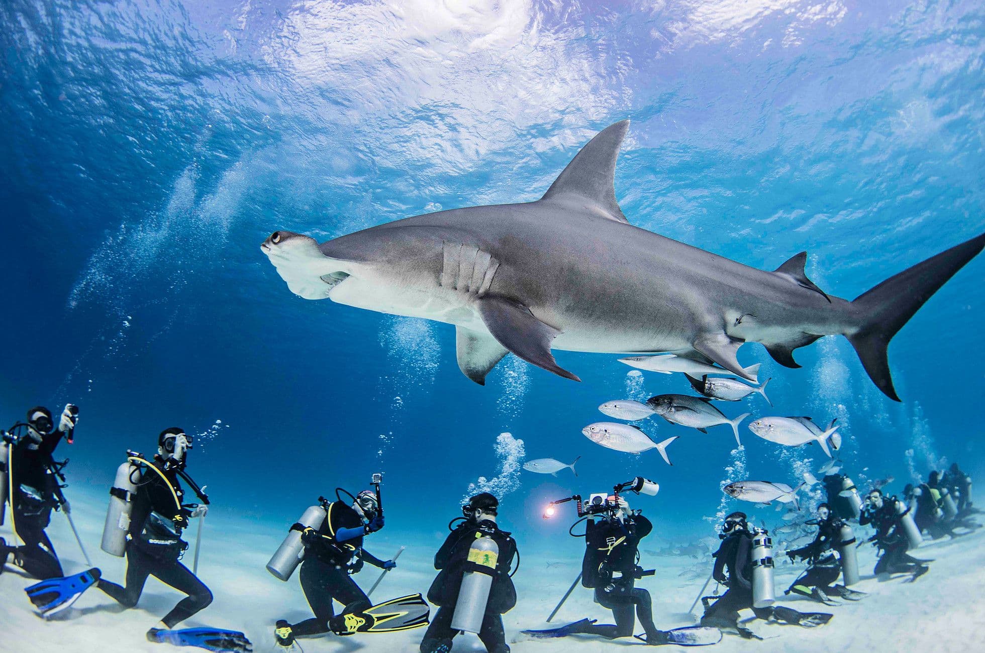 Solo female diver exploring a coral wall in clear tropical water
